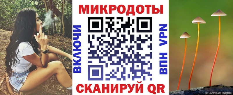 Галлюциногенные грибы Psilocybine cubensis  цена наркотик  blacksprut   Курск 